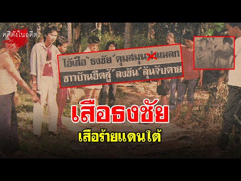 เสือธงชัย เสิอร้าย 4 จังหวัดแดนใต้ | สาระพัน