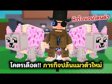 โคตรเดือด!! 😼ภารกิจปล้นแมวตัวใหม่😼หัวร้อนจนโดนด่า | Roblox Steal a Brainrot