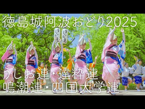 【阿波踊り】徳島城阿波おどり うしお連・達粋連・鳴潮連・四国大学連の阿波おどり | Awaodori in Tokushima Japan