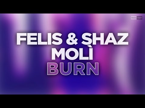 Felis & Shaz, Molì - Burn (Official Audio Video) #dancemusic