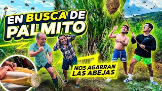 FUIMOS DE AVENTURA A UNA MONTAÑA EN BUSCA DE UNA VERDURA CON EL CREW | sale mal 🐝 
