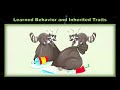 Exploring Learned Behavior and Inherited Traits