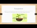 Water Cycle and Atmospheric Processes