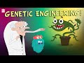 Genetic Engineering and Its Impacts