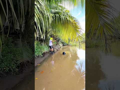 UN CASCO DE MOTO @alfredolarin #comedia #humor #shorts