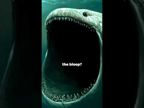 Ocean mysteries
