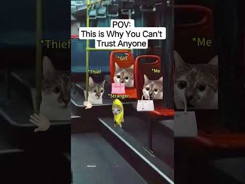 CAT MEMES 😺This is Why You Can't Trust Anyone #catmemes #relatable #relationship