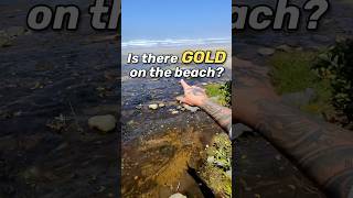 YOU Can Find GOLD on the Beach!  #nature #shorts