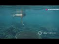 Deep Sea Exploration and Biodiversity