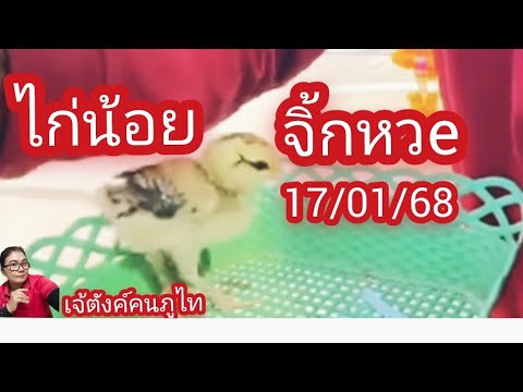 #ไก่น้อยจิกหวย สามตัว บน ล่าง งวดนี้ 17/01/68