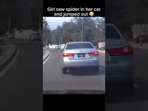 She saw spider 🕷️ #youtubeshorts #shortsbeta #trending #trendingshorts #untdaboss #jayz