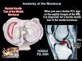 Meniscus Injury and Function Assessment