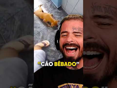 BÊBADO igual um CÃO #humor #react #cortesdobobbyzera