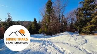 🇵🇱 Beskid Żywiecko-Kysucki: KOZIA GRAPA / Żywiec-Kysuce Beskid Mountains: KOZIA GRAPA MOUNTAIN