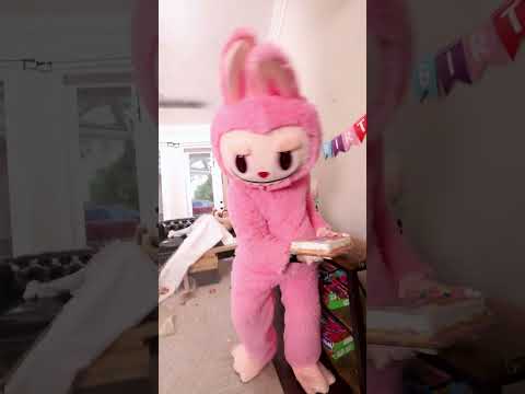 labubu destroyed my house