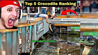 Ranking the Funniest and Scariest Crocodile Moments"