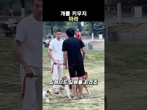 이럴거면 개를 키우지 마세요