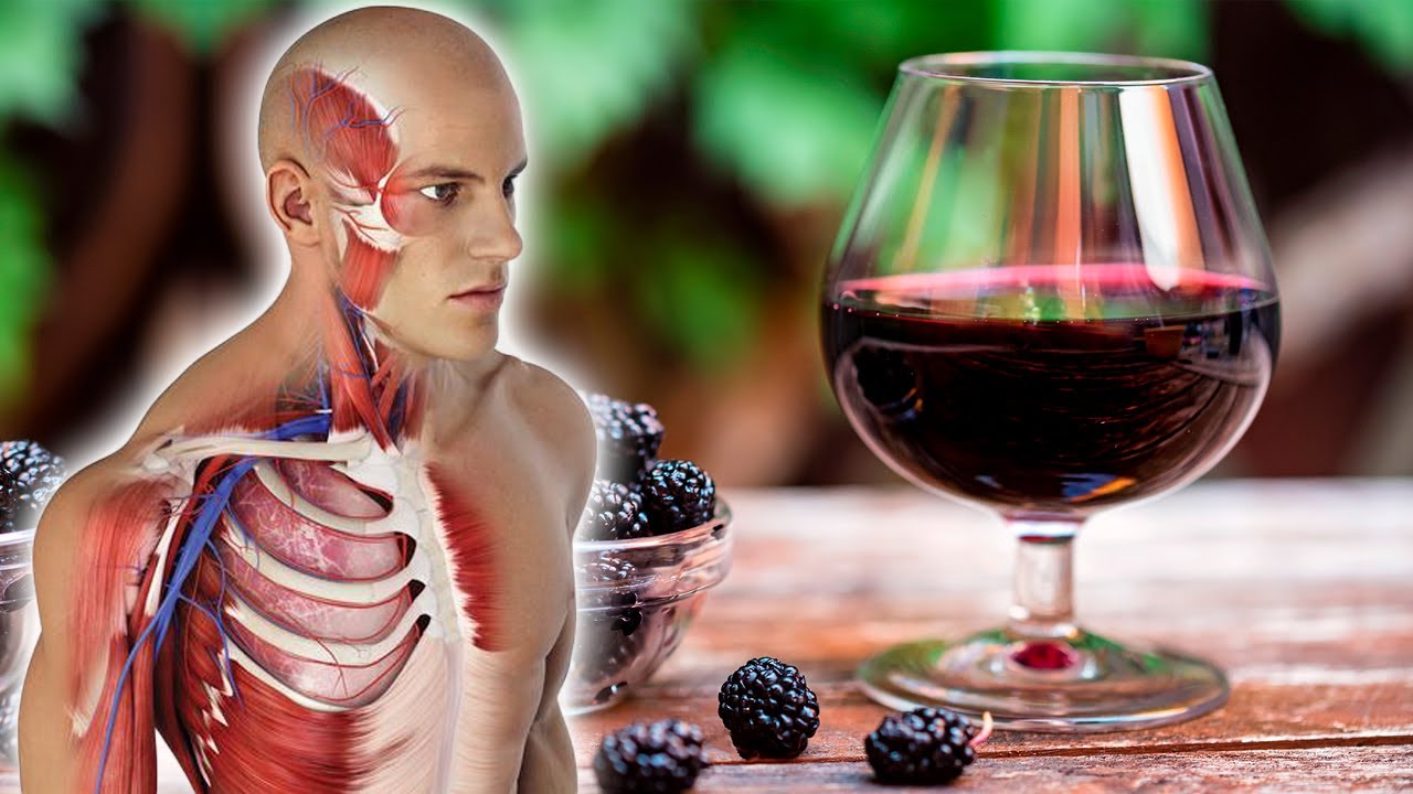 BlackBerry “Wine”: A Natural Remedy for Diabetes and Anemia