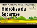 Leveduras e Fermentação Alcoólica