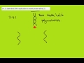 Semiconservative DNA Replication Concepts