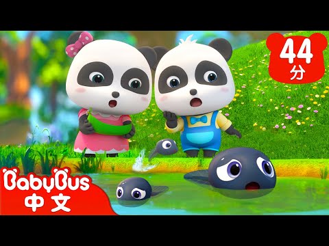 小蝌蚪找媽媽 | 小豬蓋房子 | 經典中文兒歌合輯 | Kids Song | 童謠 | 動畫 | 卡通片 | BabyBus | 寶寶巴士