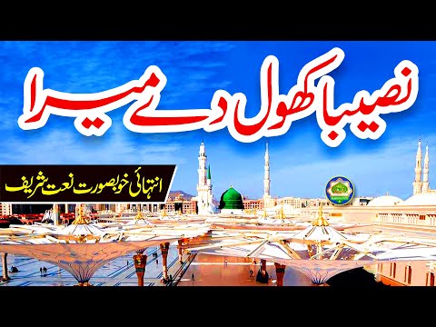 Naseeba Khol de Mera | Hafiza Muqaddas #Naat #NaatSahrif | Madina islamic Naat