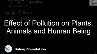 Effect of Pollution on Plants, Animals and Human Being