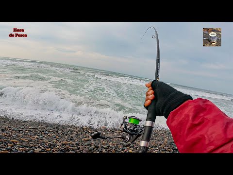 Así es la picada de una raya de 100 kilos.  || A 100 kilo fish broke the line.