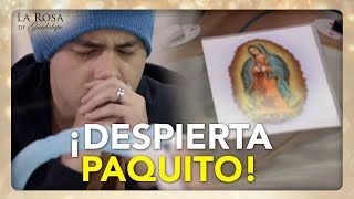 Pedro promete dejar el vicio para que Paquito despierte del coma | LOS CHOCOHONGOS 4/4 | LRDG