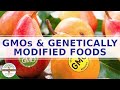 Understanding GMOs and GM Foods