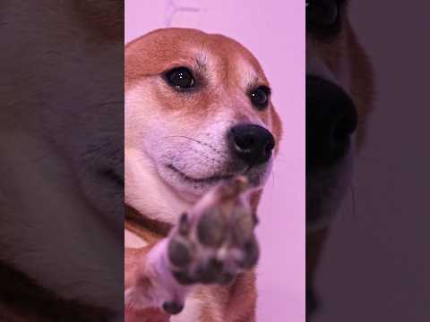 Gwenchana✋️