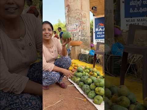 Angola special mango Kari Ishad🥭#mango #vanlife #karnataka #puthettutravelvlog #karnataka #travel
