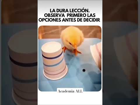 😂 Una dura lección #enseñanza #exito #vida #leccionesdevida #curiosidades #animals #love #life