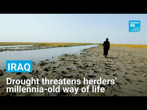 YouTube video thumbnail: Iraq: Drought Threatens Herders’ Millennia-Old Way of Life
