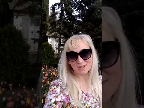 Отзыв. Центр недвижимости АЛЬЯНСИТИ в Алуште и Ялте