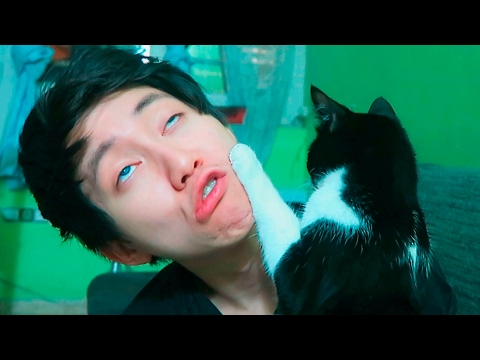 LA VENGANZA DE MI GATO - ReSet