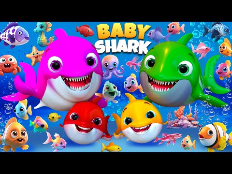 Under the Sea with Baby Shark | Kids Nursery Rhyme | Kids Songs | Banana Cartoon #nurseryrhymes