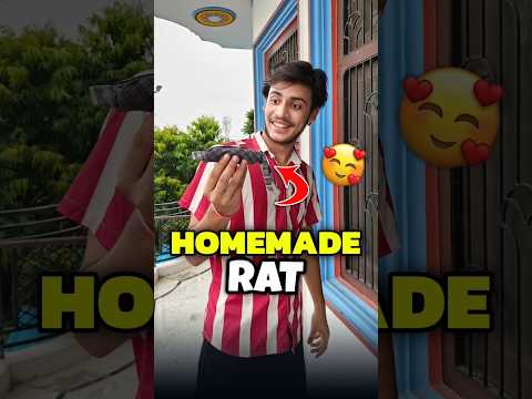 Homemade Rat 🐁 For Catty 💀😂 | Mini Vlog #shorts #minivlog #ashortaday #vlog #tranding #cats #cat