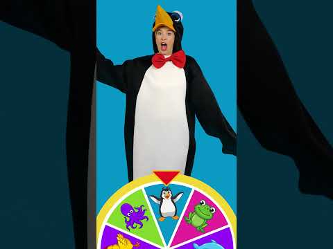 Spin the magic Wheel of Animals! 🐥🐙🐧 What will Rachel be next? #shorts #kidsvideos #toddlers