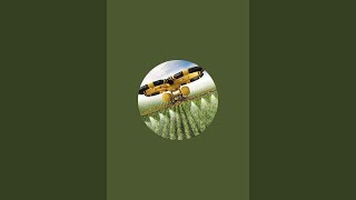 unique in world  is live