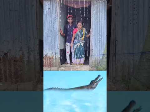কোথায় থেকে সান্ডা হ্যালো 😀#shorth #comedy #funny #videio 😃🤣🤣