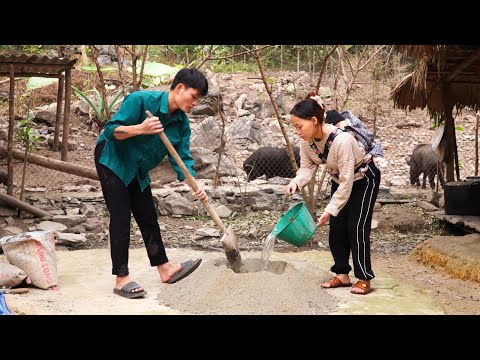 A day in the life of a young couple, harvesting eggplants, Forest life