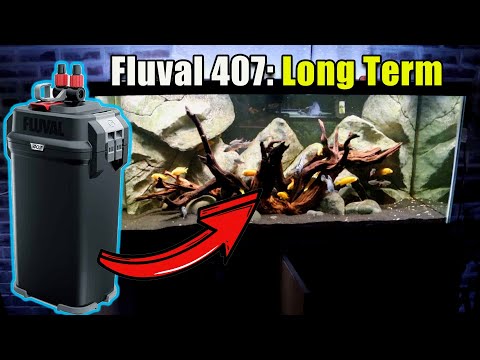 Fluval 407 Canister Filter Long Term Review