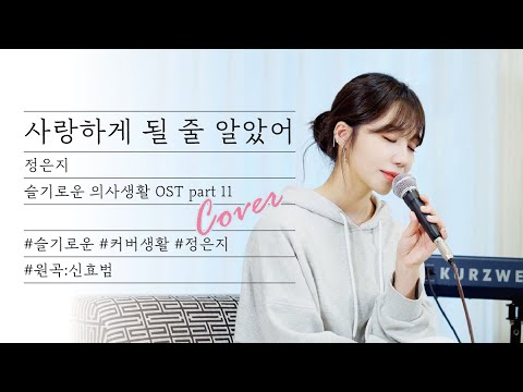 🎤[Live] 정은지-사랑하게 될 줄 알았어 (원곡.신효범) / 슬기로운 의사생활 OST Part11