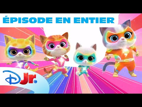 SuperChatons - Le premier épisode en avant-première de la nouvelle saison !