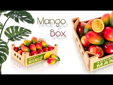 Box of Mangoes!