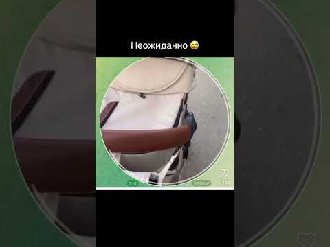 #смешноевидео #жиза #декретныйюмор #декретныйотпуск #блогер #блогермама #смешныевидео #беременность