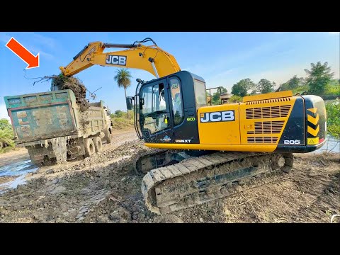 तालाब की खुदाई JCB 205 Excavator Loading Mud in TATA Dumper कितना कमाया इस काम से कितना खर्चा हुआ ?