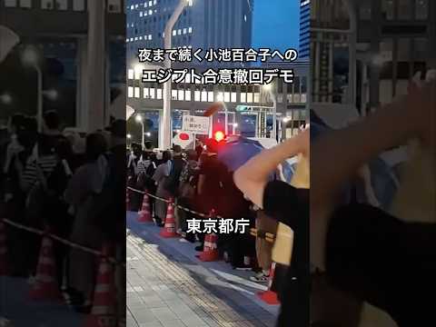 夜まで続く小池百合子へのエジプト合意撤回デモ(東京都庁) #shorts
