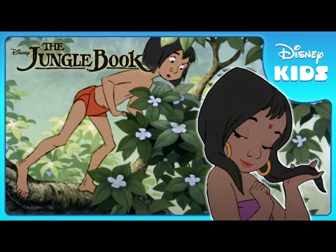 Mowgli Finds the Man Village 🏡 | Jungle Book | Disney Kids